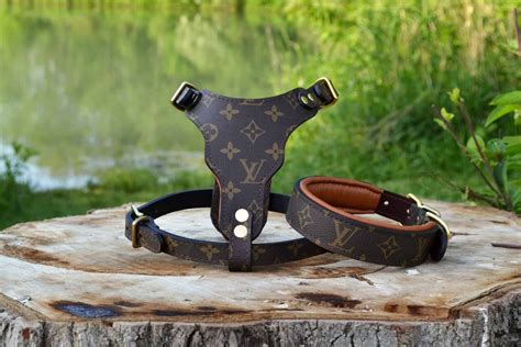 louis vuitton dog harness.